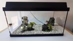Aquarium 60L - Filter en decoratie, Dieren en Toebehoren, Ophalen of Verzenden, Gebruikt, Leeg aquarium