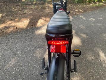 Te koop: NIEUWE Fatbike C80 Mini  beschikbaar voor biedingen