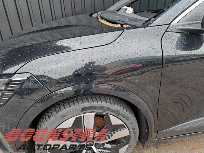 Scherm links-voor van een Renault Megane E-Tech (Megane E-Te, Auto-onderdelen, Carrosserie, Renault, Gebruikt, 3 maanden garantie