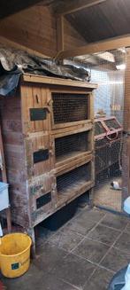 Konijnen flat 3 verdiepingen, Dieren en Toebehoren, Ophalen, Gebruikt, Cavia