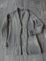 Cardigan / Vest Bruphils 42, Kleding | Dames, Maat 42/44 (L), Bruphils, Ophalen of Verzenden, Zo goed als nieuw