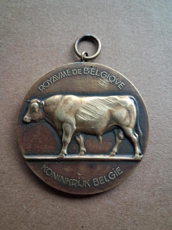 zeer oude medaille koe west vlaanderen.....in brons /koper., Postzegels en Munten, Penningen en Medailles, Brons, Ophalen of Verzenden