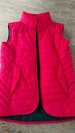 Bodywarmer, Dieren en Toebehoren, Paardrijkleding, Ophalen, Zo goed als nieuw, Kinderen, Bovenkleding
