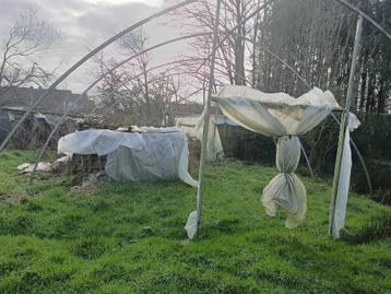 Serre 8m x7mx3,5 m, Enlèvement, Utilisé, Conservatoire
