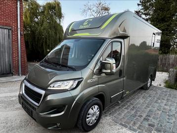 Mooie Theault 47000km!!!paardencamionette beschikbaar voor biedingen