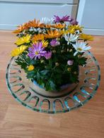 WIE WIL DEZE OP ZIJN TAFEL ?, Huis en Inrichting, Woonaccessoires | Schalen en Manden, Ophalen of Verzenden, Zo goed als nieuw