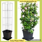 Klimplant Clematis klimroos passieflora Jasmijn Kamperfoelie, Ophalen of Verzenden, Vaste plant
