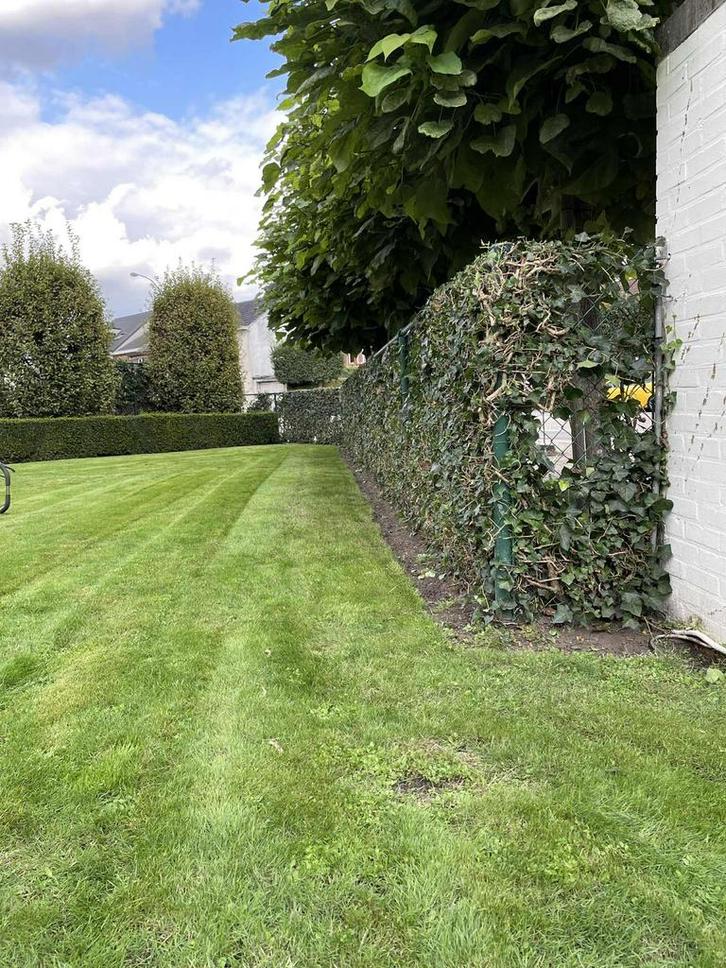 Tuinman, Tuin en Terras, Gras en Kunstgras, Nieuw, Ophalen