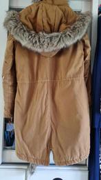 Chu) Manteau Cache-Cache coton, T40 voir mesure., Neuf, Taille 38/40 (M), Brun, Enlèvement