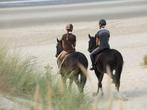 Wil en kun je een paard rijden aan zee dat kan nu gratis