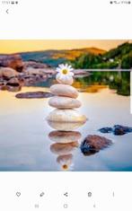 Homme vous propose aux hommes de + 18 moment de detente, Enlèvement