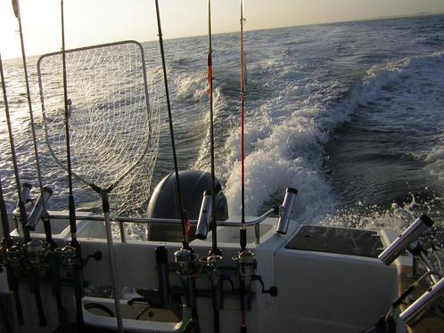 zeevissen, Watersport en Boten, Hengelsport | Zeevissen, Ophalen of Verzenden