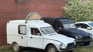 Acadiane jaar 1981 beschikbaar voor biedingen