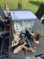 Aquarium Superfish met veel toebehoren, Dieren en Toebehoren, Ophalen, Zo goed als nieuw