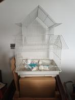 Vogelkooi, Dieren en Toebehoren, Vogels | Hokken en Kooien, Ophalen, Zo goed als nieuw, Vogelkooi