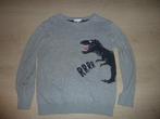 Trui 128, Ophalen, Gebruikt, Jongen, Trui of Vest
