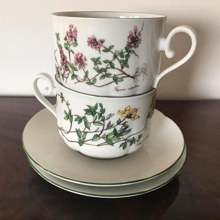 Seltmann Weiden porseleinen setje, Antiek en Kunst, Antiek | Servies los, Ophalen of Verzenden