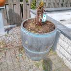 Houten tonnen met palmboom, Ophalen, Gebruikt
