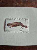 Oude postzegel Bulgaria, Ophalen, Gestempeld