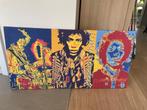 Jimi Hendrix op doek, Antiquités & Art, Enlèvement