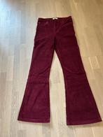 Broek rood, rib, Nieuw, Ophalen of Verzenden, Maat 36 (S), Rood