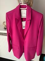 Fushia blazer, Vêtements | Femmes, Vestes & Costumes, Neuf, Rose, Taille 36 (S), Enlèvement