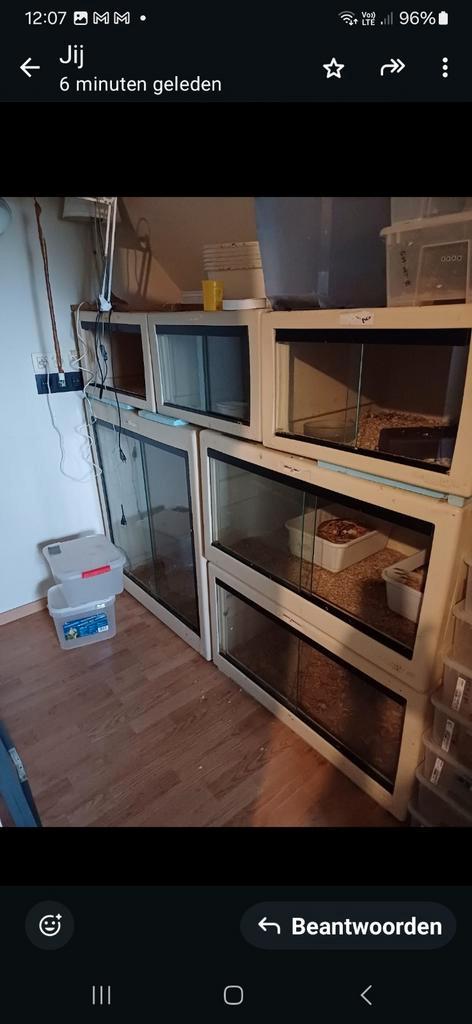 Herptek terraria stelling of los, Dieren en Toebehoren, Reptielen en Amfibieën | Toebehoren, Zo goed als nieuw, Ophalen