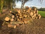 Brandhout, Tuin en Terras, Brandhout, Ophalen, Essenhout, Stammen