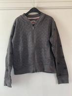 Grijze trui met rits - Zeeman - maat 146/152, Kinderen en Baby's, Kinderkleding | Maat 146, Zeeman, Gebruikt, Meisje, Trui of Vest
