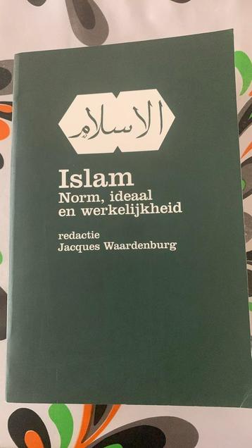 Islam, norm ideaal en werkelijkheid beschikbaar voor biedingen