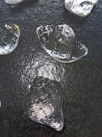 Glazen decoratie schelpen, Huis en Inrichting, Ophalen, Nieuw, Glas