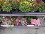 stopzetting winkel, Ophalen