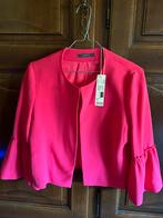 Blazer Esprit, Vêtements | Femmes, Vestes & Costumes, Neuf, Taille 38/40 (M), Enlèvement ou Envoi, Rose