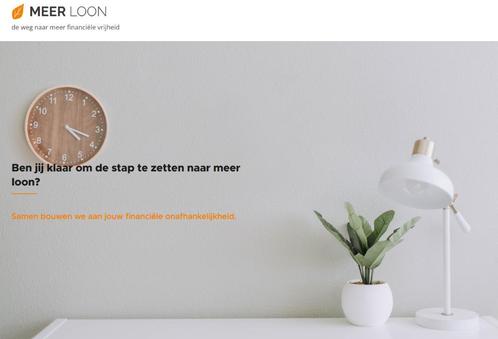 meer loon, Vacatures, Profielen | Man/Vrouw zoekt werk, Overige vormen, Variabele uren, Klantenservice en Callcenter, Promotiewerk en Flyering