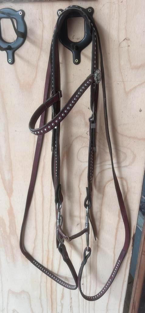 Western hoofdstel full zonder bit met teugels / split rains, Dieren en Toebehoren, Paarden en Pony's | Hoofdstellen en Tuigage