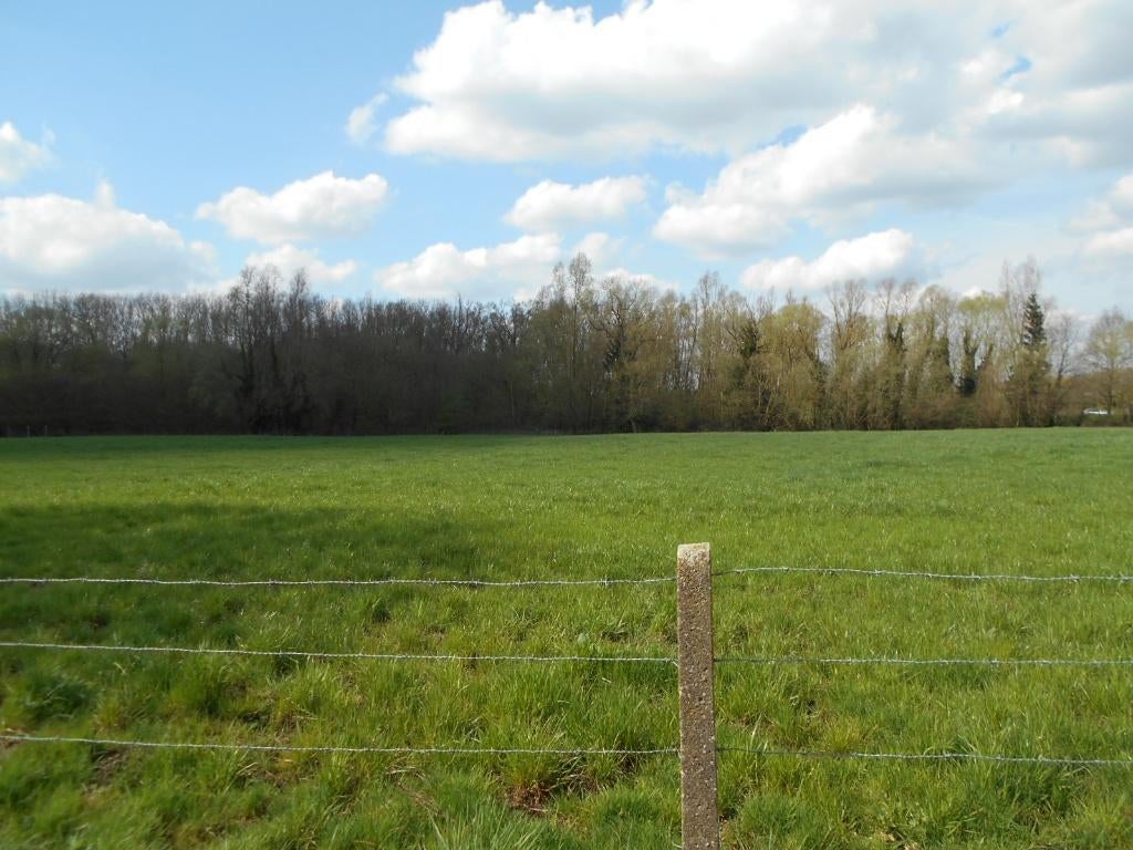 Weide / landbouwgrond te koop te Ternat, Immo, Terrains & Terrains à bâtir, 1500 m² ou plus, Ventes sans courtier