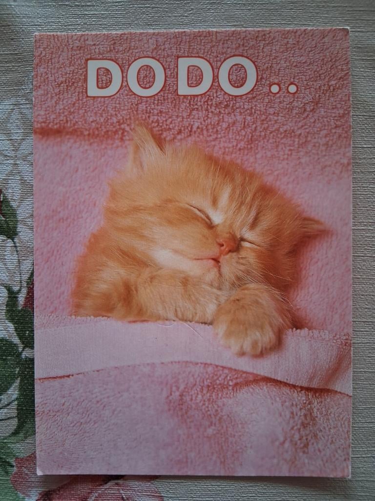 Postkaart poes, Collections, Cartes postales | Animaux, Enlèvement ou Envoi