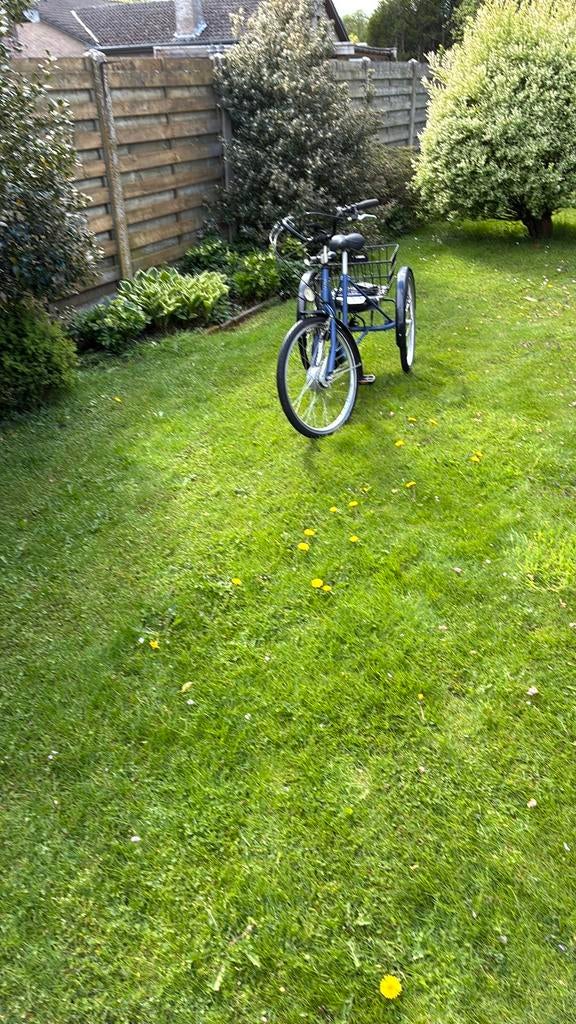 Tricycle électrique, Enlèvement, Utilisé