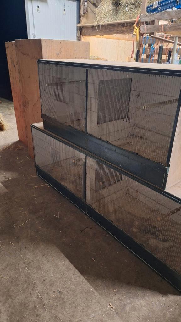 Zeer grote degelijke kweek/konijnen kooien, Animaux & Accessoires, Rongeurs & Lapins | Cages & Clapiers, Niche, Enlèvement