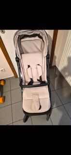 Little dutch koets, Enlèvement