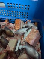 Vogels op voetje kanaries, Dieren en Toebehoren, Vogels | Kanaries