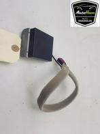 DIVERS Antenne (diversen) Clio V (RJAB) (|282120588R|), Utilisé, Renault