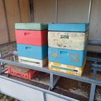 Carnica bijen volk    V E R K O C H T, Abeilles