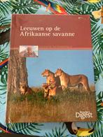 Boek - leeuwen op de Afrikaanse Savanne, Livres, Nature, Enlèvement ou Envoi, Neuf