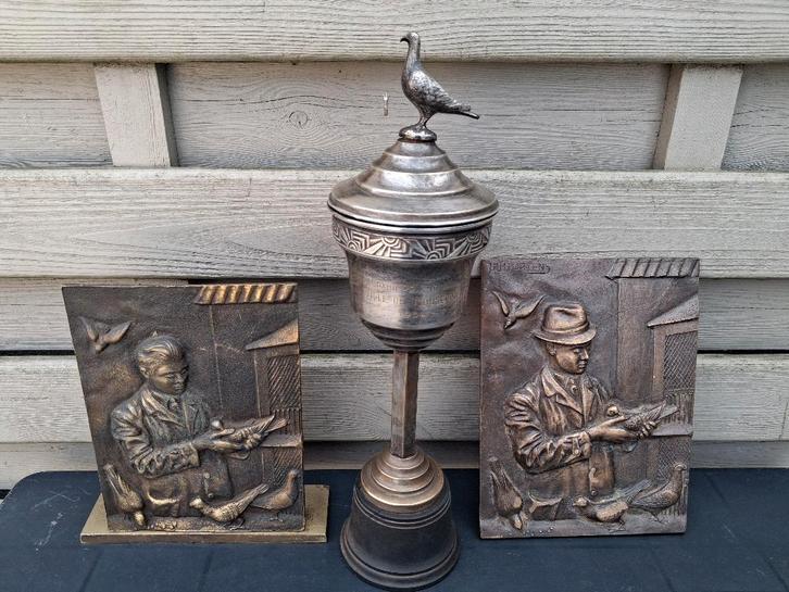 duivenliefhebbers, Dieren en Toebehoren, Vogels | Duiven, Overige soorten