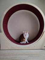 Loopwiel katten, Ophalen, Gebruikt, Overig speelgoed