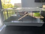 Hamsterkooi met toebehoren, Dieren en Toebehoren, Knaagdieren en Konijnen | Hokken en Kooien, Ophalen, Zo goed als nieuw, Kooi
