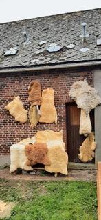 Gamme en peau de mouton, Maison & Meubles, Enlèvement