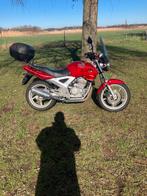 Honda CBF 250, Motoren, Particulier, Toermotor