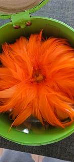 Échelle de plumes, Bijoux, Sacs & Beauté, Enlèvement, Swatch